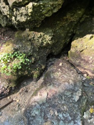 10573ec8-61b4-4393-b81b-e390fc19daea