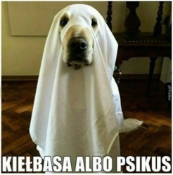 96c67b88-33b8-45e6-8018-d488832e116f