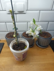 18ffe81f-cc21-4506-9c3c-5a26877cdba3