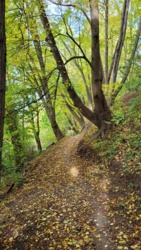 ac58ea6b-d63d-4b1b-917b-d352eb6df3d8