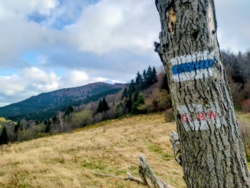 62c25b58-a458-445e-b61d-8d7462f91cab