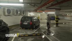 Uwaga! TVN: Trzymała psy w samochodzie na parkingu podziemnym. „To forma tortur”