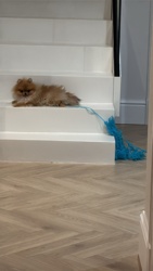 acef5d63-20b9-4fe9-858e-126b84193cbe