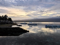 cf0e868b-2f4f-4fc8-b85e-e116bd5198b0