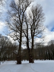 b5cbded1-f367-4ec4-b3ad-9bc05ad44bfa