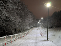 20b7fd87-20be-48d6-92b6-041a91a53846