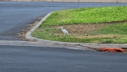 250fa25e-06f6-4cd4-aa16-8fa09fc2d0f2