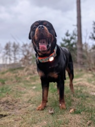 e8ce7836-0648-4a7e-904a-4a6f619fa880