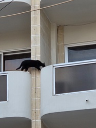 f3b4fa64-6570-43b1-b657-b8f580a4e2a5