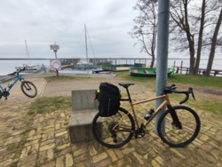 79a7c40b-6fcb-4b51-929b-df7c28e8a443