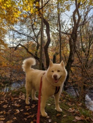 b6c9d0cd-de09-4a7c-99d5-57955f3b383c