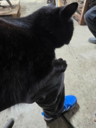 5de283e2-7ff6-4b66-93eb-fd6d28d64d84