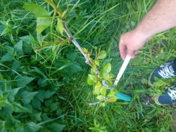 2c3fdc1f-df61-4ee6-9f01-a8ecdede8c6e