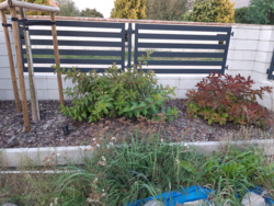 7cfce8fe-c17d-49ab-bc05-3a4ee8a2a31a