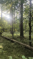 32ca4d99-c799-40c7-88f8-d6dd79828695