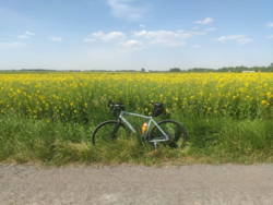 d2ffe5cb-8769-48e6-b5f7-e72715975d54