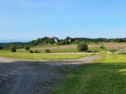 1e881b0c-a61f-4e74-befa-0e9b723649d6