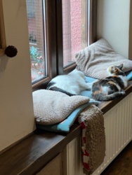 9911cd37-3fe3-4b9d-997b-71b7dbd5f8b9