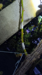 246c2e95-fe69-4a98-b607-639fb79875bd