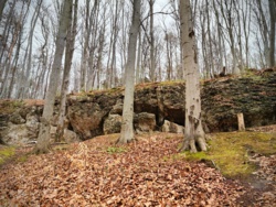 9c6420e3-d1ad-480c-ae57-a29680abdcf3