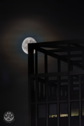 d4fc6c7b-747a-492f-8878-07423c146016