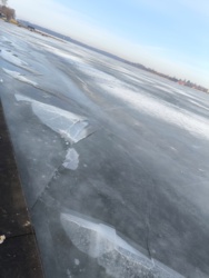 2abdaeed-c9bc-48ea-8f57-5b9a5d8efd73