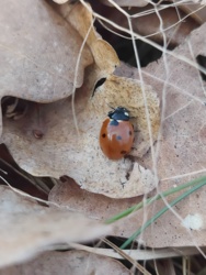 ff55f6d4-feb7-417b-9667-cfef99837af8