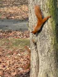 c63e26f5-f93d-4095-adbb-7fb44522879b