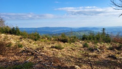 d555de27-48b2-4660-a57f-5266826e3aa9