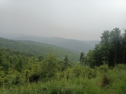 1b8c81e7-1454-40e0-b967-fe54d7c2a257