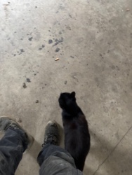 7c794f93-c337-4a43-ad30-d38f5d202a00