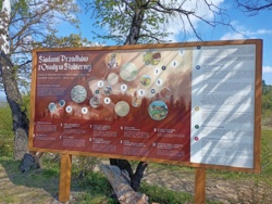 a4ba16cd-6850-414f-82f2-ad7a4a419121