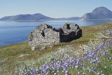 Zmiany klimatu w średniowieczu. Co wypędziło Wikingów z Grenlandii?