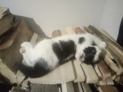 4cad9224-f5b0-4d32-b66b-d86ba76572f8