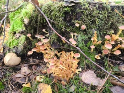 54bc41f5-701a-4b86-b604-bf41b3b5ee8d