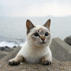 ee894111-561f-492d-88be-dc15d994d88a