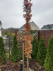 3ba8de8a-840a-4f39-8fe7-ab8f988c82e2