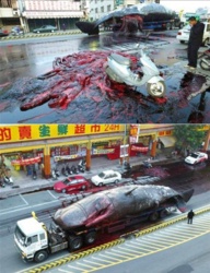 8fe9d737-7e12-47c5-a6ee-7f32fa422f63