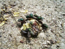 9f37f43f-4dcd-4f82-aa19-bdc004b1d942