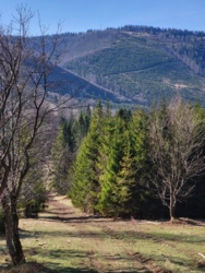 21b342fc-eb7a-439d-b31d-e27064d0cfbb