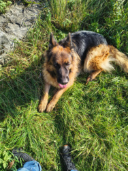 ea83123f-22d2-4840-b6b9-3403534b8e2d