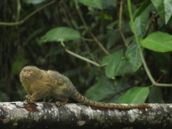 d990b4ec-c53a-4c54-824e-0f01799f87a1