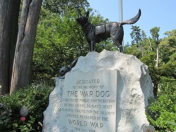 6df6623b-37bc-4c0a-8c48-beb2cbf402a9