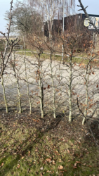 2f540f4d-2df4-493a-abd5-dd96fbc958c0