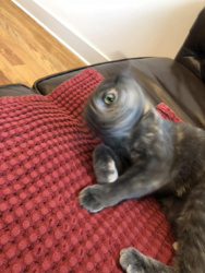 9e434a45-2689-4f63-a3b4-0562ec4c4075