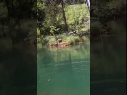 Niesamowity szczupak 93 cm! #shorts