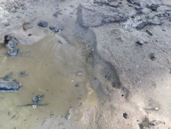 e0c23680-4dbd-4b8e-8985-6e51d93051a1