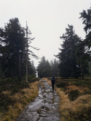 65c61232-edd8-475c-9f54-6127594654b0