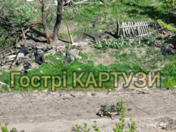 92eb7f63-df58-49c1-8c60-681ab9506d48