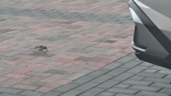 db27bc69-40b9-4d13-8b31-72ca3e6b17d4